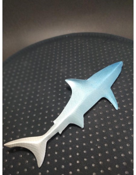 Καρχαριάκι, ψηφιακά εκτυπωμένο σε αλουμίνιο Νο 02 